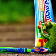 toothpaste-frog-toothbrush-stockpack-pixabay.jpg toothpaste, frog, toothbrush