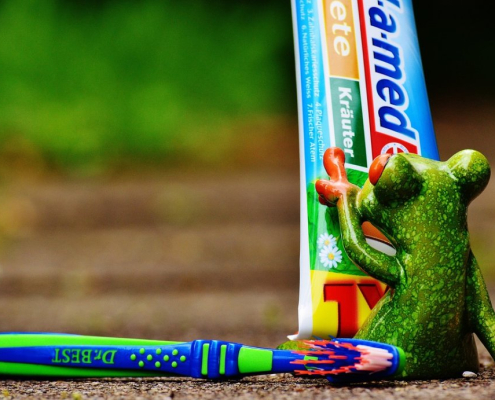 toothpaste-frog-toothbrush-stockpack-pixabay.jpg toothpaste, frog, toothbrush