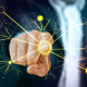 web-network-technology-stockpack-pixabay.jpg web, network, technology