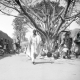 Kurmi_market_Kano Kurmi Market Kano