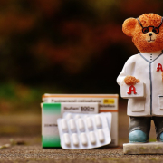 bear-profession-pharmacist-stockpack-pixabay.jpg bear, profession, pharmacist