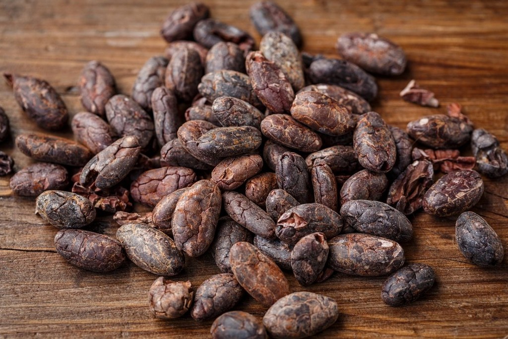 cacao-bean-cocoa-bean-cocoa-stockpack-pixabay.jpg cacao bean, cocoa bean, cocoa