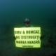 greenepeace_neptun_deep Greenepeace Neptun Deep