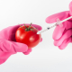 modified-tomato-genetically-stockpack-pixabay.jpg modified, tomato, genetically