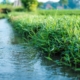natural-water-green-stockpack-pixabay.jpg natural, water, green