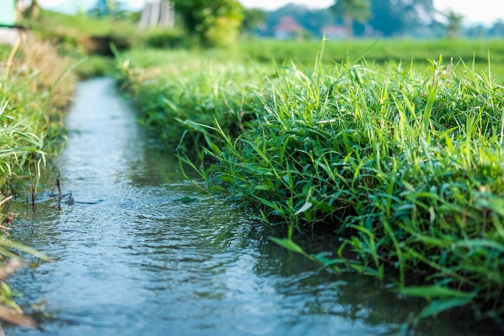 natural-water-green-stockpack-pixabay.jpg natural, water, green