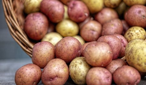 potatoes, vegetables, nature