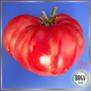 Tomata De Buzau Rosie