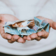 two-euro-banknotes-stockpack-unsplash.jpg two Euro banknotes