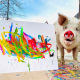 Pigcasso Pigcasso