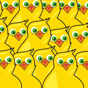 animal, birds, chick