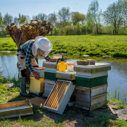 beekeeper-stockpack-unsplash.jpg Beekeeper