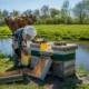 beekeeper-stockpack-unsplash.jpg Beekeeper