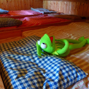 frog-kermit-weary-stockpack-pixabay.jpg frog, kermit, weary