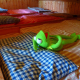 frog-kermit-weary-stockpack-pixabay.jpg frog, kermit, weary