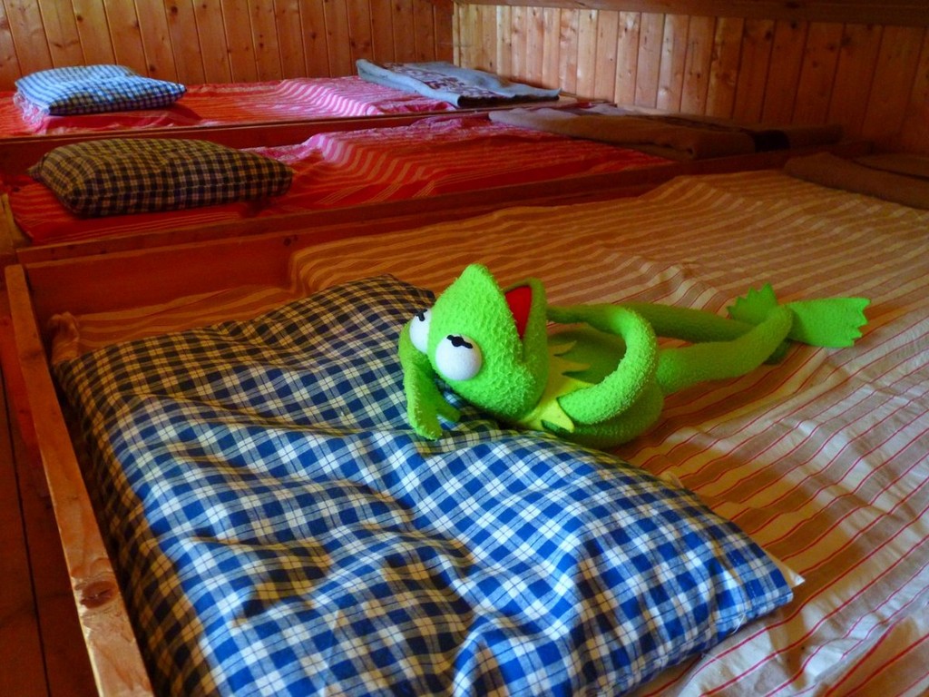 frog-kermit-weary-stockpack-pixabay.jpg frog, kermit, weary