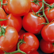 tomatoes-vegetables-red-stockpack-pixabay.jpg tomatoes, vegetables, red