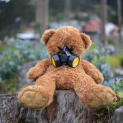 tree-felling-wood-stockpack-pixabay.jpg tree, felling, wood