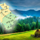 Bucovina Bucovina