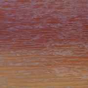 a-bird-standing-in-the-middle-of-a-body-of-water-stockpack-unsplash.jpg a bird standing in the middle of a body of water