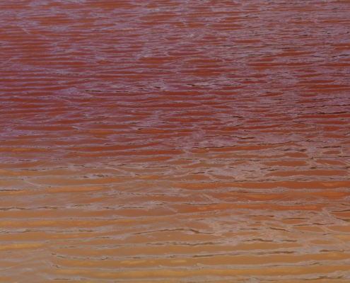 a-bird-standing-in-the-middle-of-a-body-of-water-stockpack-unsplash.jpg a bird standing in the middle of a body of water