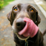 ellie-stockpack-unsplash.jpg Ellie