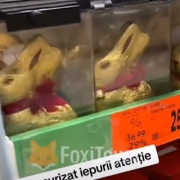 iepurasi antifurt Iepurasi Antifurt