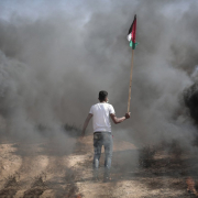 man, palestinian flag, smoke