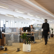 office-business-company-stockpack-pixabay.jpg office, business, company