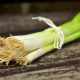 spring-onions-vegetables-spring-onion-stockpack-pixabay.jpg spring onions, vegetables, spring onion