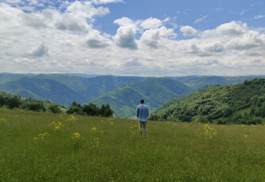 Padure Pădure Munte Peisaj Montan Vară Defrisare Copyright Foto Contactati Www.afaceri.news