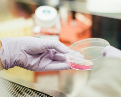 scientist-with-a-petri-dish-stockpack-unsplash.jpg Scientist with a Petri dish