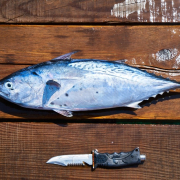 the-fish-knife-hack-stockpack-pixabay.jpg the fish, knife, hack