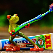 toothpaste-frog-toothbrush-stockpack-pixabay.jpg toothpaste, frog, toothbrush