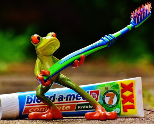 toothpaste-frog-toothbrush-stockpack-pixabay.jpg toothpaste, frog, toothbrush