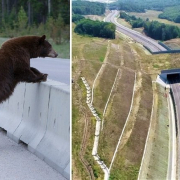 Tunel Ursi Autostrada