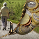 old people, pensioners, pension