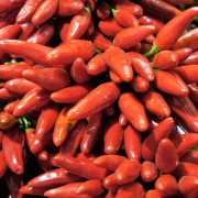 paprika, hungary, budapest