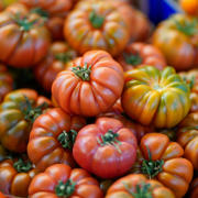 tomatoes-on-a-food-market-stockpack-pexels.jpg Tomatoes on a food market