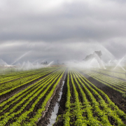 irrigation, agriculture, farm