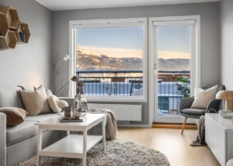 living room, interior design, apartment