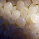 PCL_beads Pcl Beads