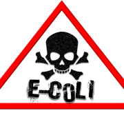 e-coli-hazard-e-coli-warning-stockpack-pixabay.png e-coli hazard, e-coli, warning