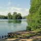 lyon-france-forest-stockpack-pixabay.jpg lyon, france, forest