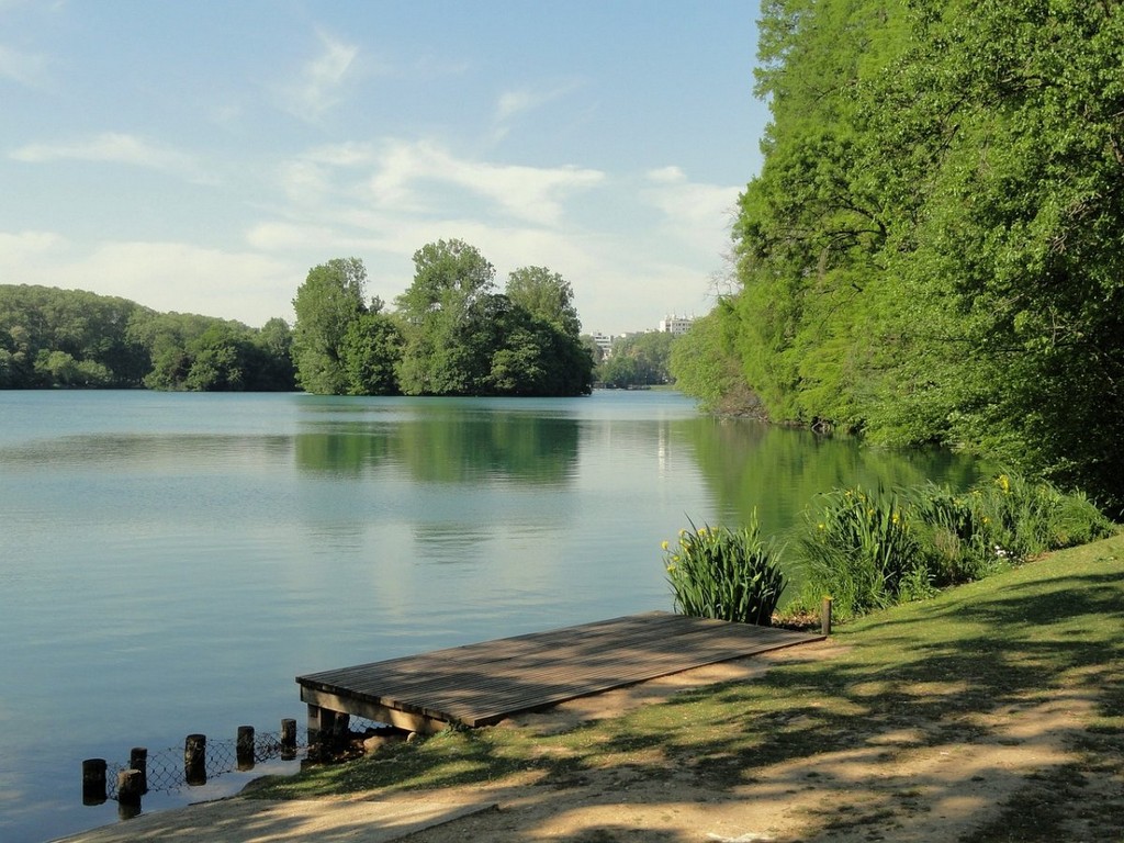 lyon-france-forest-stockpack-pixabay.jpg lyon, france, forest