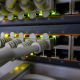 network, edp, plug