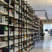 stack-of-books-in-shelf-stockpack-pexels.jpg Stack of books in shelf