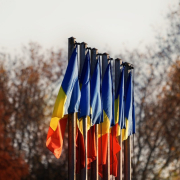trees-flags-national-stockpack-pixabay.jpg trees, flags, national