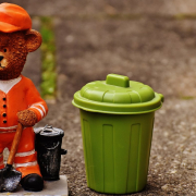 bear, profession, garbage man