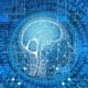 artificial-intelligence-network-programming-stockpack-pixabay.jpg artificial intelligence, network, programming